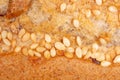 Sesame seeds on a brown crust of bread Royalty Free Stock Photo