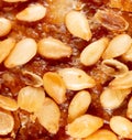 Sesame seeds on a brown crust of bread Royalty Free Stock Photo