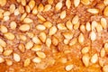 Sesame seeds on a brown crust of bread Royalty Free Stock Photo