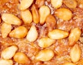 Sesame seeds on a brown crust of bread Royalty Free Stock Photo