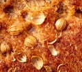 Sesame seeds on the crust of bread. Macro Royalty Free Stock Photo