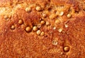 Sesame seeds on the crust of bread. Macro Royalty Free Stock Photo