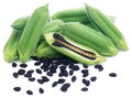 Sesame seeds with green pods