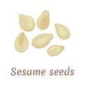 Sesame seeds icon. Vector illustration in cartoon flat simple style.