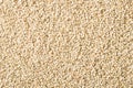 Sesame seeds Royalty Free Stock Photo
