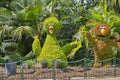Sesame Street Characters in Topiary At Busch Gardens