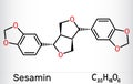 Sesamin molecule. It is natural product, lignan isolated from sesame oil. Skeletal chemical formula Royalty Free Stock Photo