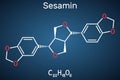 Sesamin molecule. It is natural product, lignan isolated from sesame oil. Structural chemical on the dark blue background Royalty Free Stock Photo