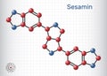 Sesamin molecule. It is natural product, lignan isolated from sesame oil. Structural chemical formula and molecule model. Sheet of Royalty Free Stock Photo