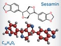 Sesamin molecule. It is natural product, lignan isolated from sesame oil. Structural chemical formula and molecule model Royalty Free Stock Photo