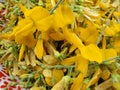 Sesbania flowers is a pretty yellow flowers.