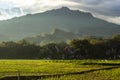 Tongkonan and Sesean Mountain