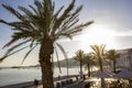 Palm trees on coastal promenade along sandy beach in Sesimbra