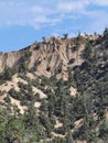 Sespie condor region calif. Royalty Free Stock Photo