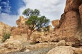 Sesriem Canyon, Namibia Royalty Free Stock Photo