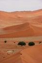 Sesriem and Sossusvlei sand  dunes Namib-Naukluft National Park, Namibia Royalty Free Stock Photo
