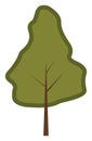 Sessile oak tree, icon
