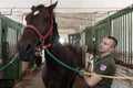 Session of hippotherapy for Ukrainian soldiers who were in combat zones in Kyiv, Ukraine