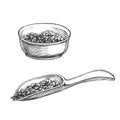 Vector hand-drawn illustration of bowl and scoop of tea. Black and white sketch of ingredient for drink. Royalty Free Stock Photo