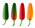 Set of 4 jalapeno peppers