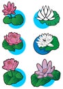 Set of 6 lotus flower Royalty Free Stock Photo