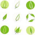 Set of 9 leaf graphics