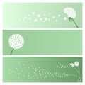 Set of Abstract banners with dandelions