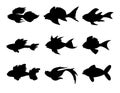 Set of abstract black fish silhouettes. Marine animals at depth. Vector illustration isolated on white background. Fish shape