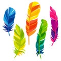 Set of abstract bright transparent feathers on