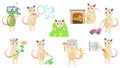Set Abstract Collection Flat Cartoon Different Animal Opossums Vector Design Elements Fauna Wildlife
