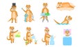 Set Abstract Collection Flat Cartoon Different Animal Otters Vector Design Elements Fauna Wildlife Royalty Free Stock Photo