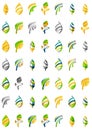 Set of abstract eco leaf icons, business logotype Royalty Free Stock Photo