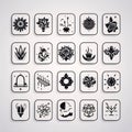 Set of abstract flower icons. Vector design elements for your business Royalty Free Stock Photo