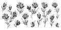 Set of abstract flowers drawn by hand with a black line on a white background. Monochrome sketch of wildflowers Royalty Free Stock Photo