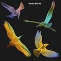 Set of abstract flying birds on dark background, isilated