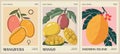 Set of abstract Fruit Market Mango retro posters.