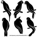 Set of abstract silhouettes of parrots, isolated, for logo, on a white background