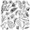 Set of abstract simple line doodle hand draw tropical jungle leaves and birds. Vector isolated elements. Tropical flat design with Royalty Free Stock Photo