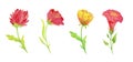 Set of abstract spring flowers and leaves for festive decoration and design