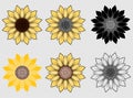 Set of abstract sunflower flowers. Vector cartoon style. Flowers on a transparent background. Royalty Free Stock Photo