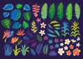 Set of abstract tropical plants, flowers, leaves. Vector design elements. Wildlife colorful floral jungle. Rainforest