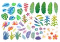 Set of abstract tropical plants, flowers, leaves. Vector design isolated elements. Wildlife colorful floral jungle