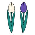 Set of 2 abstract tulips flower in trendy bright shades. Design concept for greetings or cards. Icon Royalty Free Stock Photo