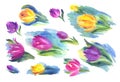 Set of abstract tulips, watercolor illustration on a white background