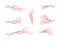 Set of abstract veins, blood vessels, arteries, capillaries.