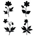 Set aconit floral silhouettes on white background Royalty Free Stock Photo