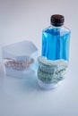 Set of acrylic denture with mouth wash Royalty Free Stock Photo