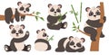 Set of adorable pandas Royalty Free Stock Photo