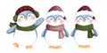 Set of adorable watercolor penguins with scarf and beanie hat illustrations. Charming winter penguins clipart collection Royalty Free Stock Photo