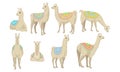 Set With Adult Llamas In Colorful Blankets Vector Illustration